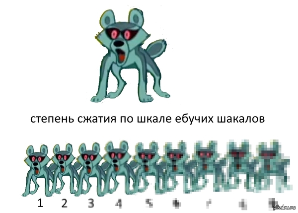 1411241905_1556854549.jpg